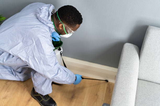 Real Estate Pest Inspections in Mcconnelsville, OH